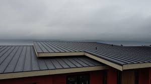 Best Cold Roofs  in Harriman, NY